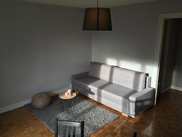 Photo du salon dun appartement angevin avec un canapé