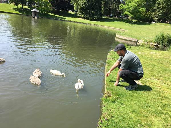 Johann au parc avec des cygnes